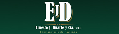 Ernesto J. Duarte y Ca. S.R.L.