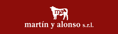 Martin y Alonso S.R.L.