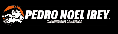 Pedro Noel Irey S.R.L.