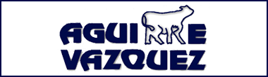 Aguirre Vazquez